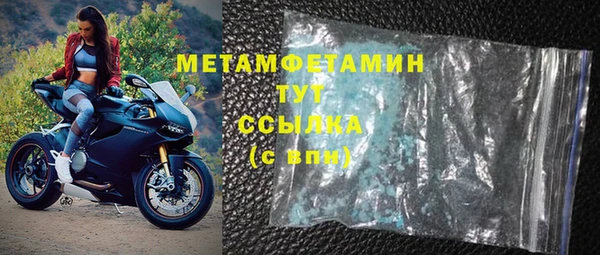сатива Волоколамск