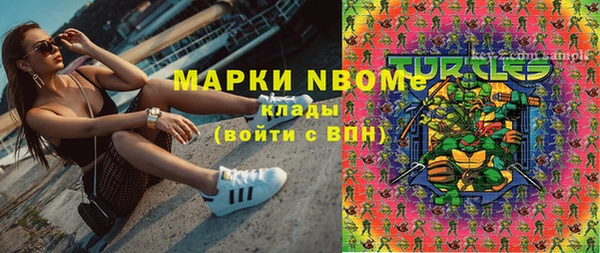 сатива Волоколамск
