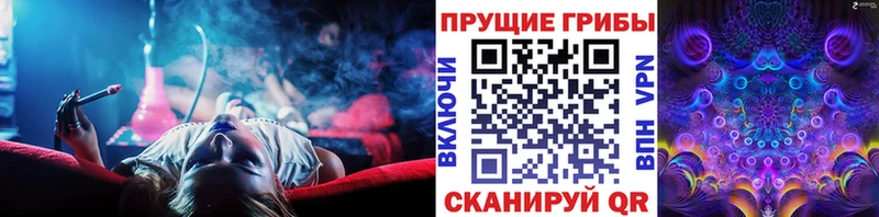 хочу наркоту  Нижнекамск  Галлюциногенные грибы MAGIC MUSHROOMS 